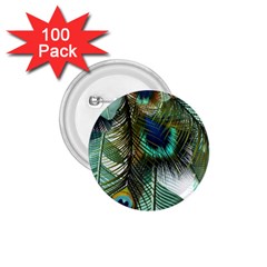 Peacock Feathers Feather Blue Green 1 75  Buttons (100 Pack)  by Cowasu