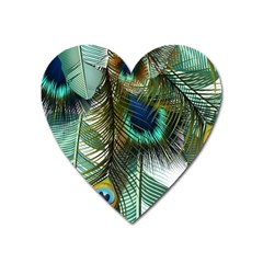 Peacock Feathers Feather Blue Green Heart Magnet by Cowasu