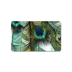 Peacock Feathers Feather Blue Green Magnet (name Card) by Cowasu