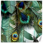 Peacock Feathers Feather Blue Green Canvas 12  x 12  11.4 x11.56  Canvas - 1