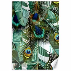 Peacock Feathers Feather Blue Green Canvas 12  X 18  by Cowasu