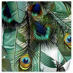 Peacock Feathers Feather Blue Green Canvas 16  X 16  by Cowasu