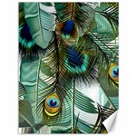 Peacock Feathers Feather Blue Green Canvas 36  x 48  35.26 x46.15  Canvas - 1