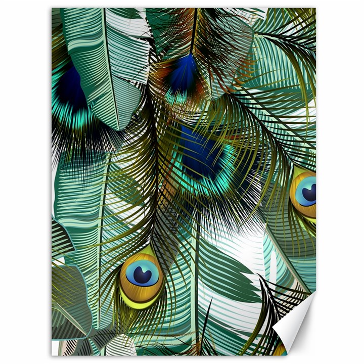 Peacock Feathers Feather Blue Green Canvas 36  x 48 