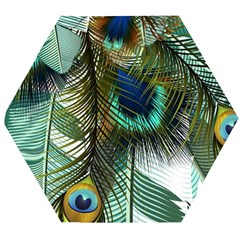 Peacock Feathers Feather Blue Green Wooden Puzzle Hexagon by Cowasu