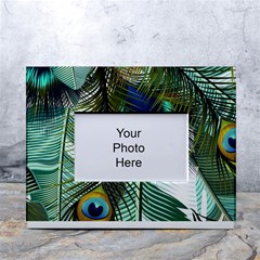 Peacock Feathers Feather Blue Green White Tabletop Photo Frame 4 x6  by Cowasu