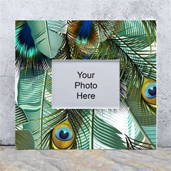 Peacock Feathers Feather Blue Green White Wall Photo Frame 5  X 7 