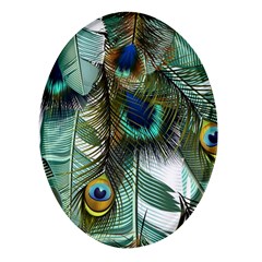 Peacock Feathers Feather Blue Green Oval Glass Fridge Magnet (4 Pack) by Cowasu