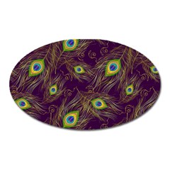 Peacock Feathers Pattern Oval Magnet by Cowasu