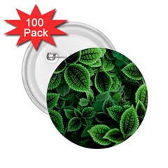 Shanghai Botanical Garden 2 25  Buttons (100 Pack)  by Cowasu