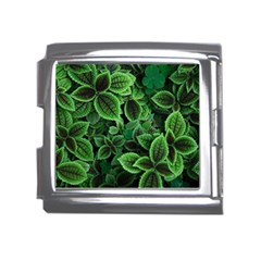 Shanghai Botanical Garden Mega Link Italian Charm (18mm) by Cowasu