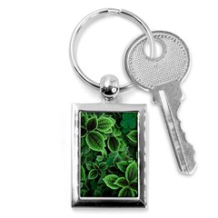 Shanghai Botanical Garden Key Chain (rectangle) by Cowasu