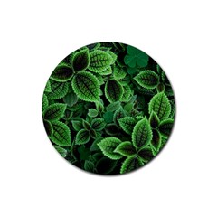 Shanghai Botanical Garden Rubber Round Coaster (4 Pack) by Cowasu