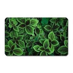 Shanghai Botanical Garden Magnet (rectangular) by Cowasu