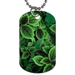 Shanghai Botanical Garden Dog Tag (one Side) by Cowasu