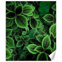 Shanghai Botanical Garden Canvas 8  X 10  by Cowasu