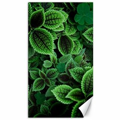 Shanghai Botanical Garden Canvas 40  X 72  by Cowasu