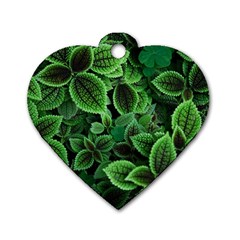 Shanghai Botanical Garden Dog Tag Heart (one Side) by Cowasu