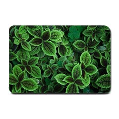 Shanghai Botanical Garden Small Doormat by Cowasu