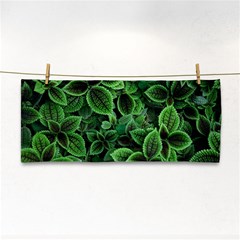 Shanghai Botanical Garden Hand Towel by Cowasu