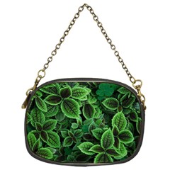 Shanghai Botanical Garden Chain Purse (two Sides) by Cowasu