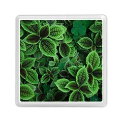 Shanghai Botanical Garden Memory Card Reader (square) by Cowasu