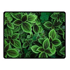 Shanghai Botanical Garden Two Sides Fleece Blanket (small) by Cowasu