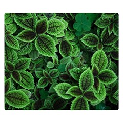 Shanghai Botanical Garden Two Sides Premium Plush Fleece Blanket (small) by Cowasu