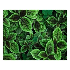 Shanghai Botanical Garden Two Sides Premium Plush Fleece Blanket (large)