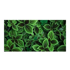 Shanghai Botanical Garden Satin Wrap 35  X 70  by Cowasu