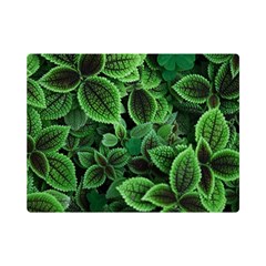 Shanghai Botanical Garden Premium Plush Fleece Blanket (mini)