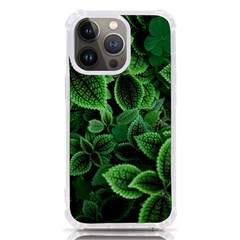 Shanghai Botanical Garden Iphone 13 Pro Tpu Uv Print Case by Cowasu