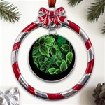 Shanghai Botanical Garden Metal Red Ribbon Round Ornament Front