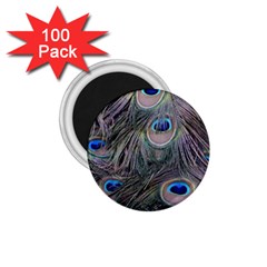 Peacock Feathers Peacock Bird Feathers 1 75  Magnets (100 Pack)  by Ndabl3x