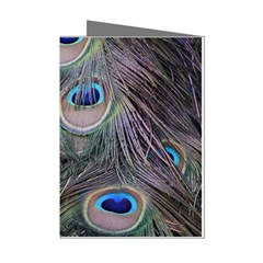 Peacock Feathers Peacock Bird Feathers Mini Greeting Cards (pkg Of 8) by Ndabl3x