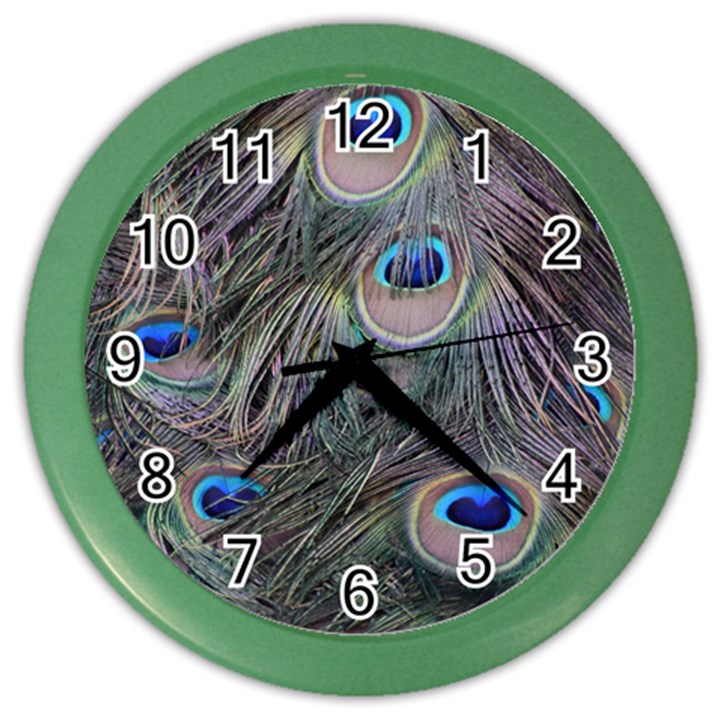 Peacock Feathers Peacock Bird Feathers Color Wall Clock