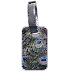 Peacock Feathers Peacock Bird Feathers Luggage Tag (two Sides) by Ndabl3x