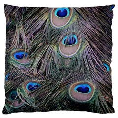 Peacock Feathers Peacock Bird Feathers Large Cushion Case (two Sides) by Ndabl3x