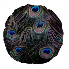 Peacock Feathers Peacock Bird Feathers Large 18  Premium Round Cushions by Ndabl3x