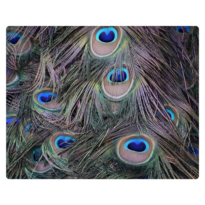 Peacock Feathers Peacock Bird Feathers Two Sides Premium Plush Fleece Blanket (Medium)