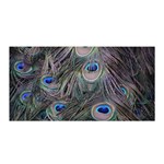 Peacock Feathers Peacock Bird Feathers Satin Wrap 35  x 70  Front