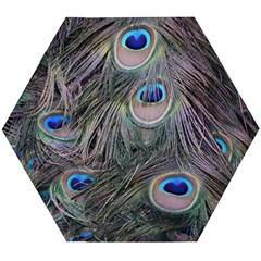 Peacock Feathers Peacock Bird Feathers Wooden Puzzle Hexagon