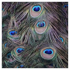 Peacock Feathers Peacock Bird Feathers Lightweight Scarf  by Ndabl3x