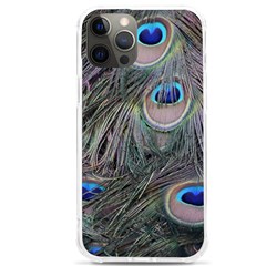 Peacock Feathers Peacock Bird Feathers Iphone 12 Pro Max Tpu Uv Print Case by Ndabl3x