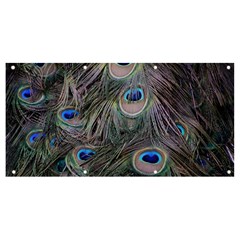 Peacock Feathers Peacock Bird Feathers Banner And Sign 8  X 4  by Ndabl3x