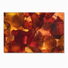 Leaves Fall Autumn Season Orange Postcards 5  X 7  (pkg Of 10) by Ndabl3x