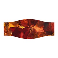 Leaves Fall Autumn Season Orange Stretchable Headband by Ndabl3x