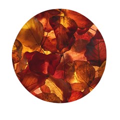 Leaves Fall Autumn Season Orange Mini Round Pill Box (pack Of 3) by Ndabl3x