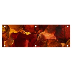 Leaves Fall Autumn Season Orange Banner And Sign 6  X 2  by Ndabl3x