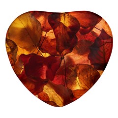 Leaves Fall Autumn Season Orange Heart Glass Fridge Magnet (4 Pack) by Ndabl3x